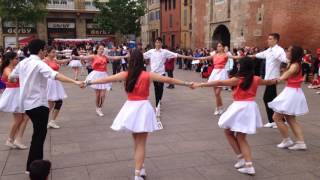 Un concours de sardanes au pied du Castillet à Perpignan [upl. by Botti]