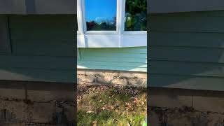 How to Reframe Under a Window Final diyshorts diyhomerepair diyhomemaintenance home improvement [upl. by Nolos91]