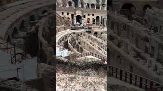 Colosseum rome 2024 italy europe travel shorts fyp reels tourism vatican [upl. by Karoly]