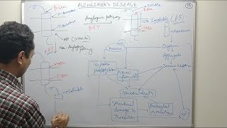 Alzheimers Disease  Pharmacology of Alzheimers Disease  Physiology  Drugs  Neuroinflammation [upl. by Suisyola864]