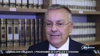 Consiglieri delegati i programmi di Cofelice e DEgidio [upl. by Dhaf214]