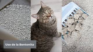 Bentonita para el arenero de gatos  Usos de la Bentonita sódica [upl. by Stefanie364]