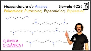 Nomenclatura de poliaminas Putrescina Cadaverina Espermina y Espermidina ejemplo 224 [upl. by Ahsekahs368]