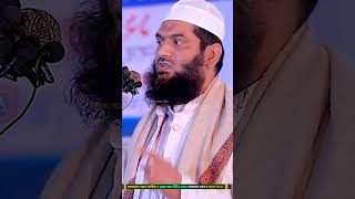 allama mamunul haq  আল্লামা মামুনুল হক  Bangla New waz Mahfil 2024 [upl. by Assylem901]