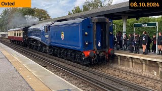 Sir Nigel Gresley Tender First A few Trains at Oxted 08102024 [upl. by Jilleen]