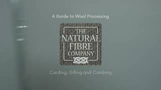 A Guide to Wool Processing Stage Three Carding Gilling and Combing [upl. by Nylirret645]