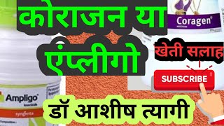 Coragen vs Ampligo use in sugarcane by Dr Ashish Tyagi गन्ने में कोराजन या एंप्लीगो की सही जानकारी [upl. by Lrat578]