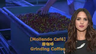 磨咖啡 【Moliendo Café】Grinding Coffee Martin Zarzar [upl. by Maegan906]