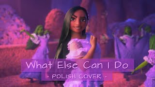 What Else Can I Do  Nasze Magiczne Encanto  Polish Cover [upl. by Greysun]