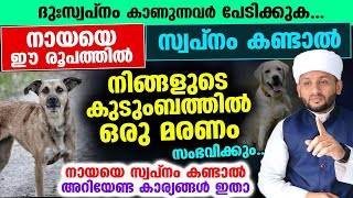 സൂക്ഷിക്കുക കുടുംബത്തിൽ ഒരു മരണം സംഭവിക്കും നായയെ ഈ രൂപത്തിൽ സ്വപ്നം കണ്ടാൽ Swapnam Kandal [upl. by Rema]