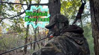 Whitetail deer hunt Doe comes out while bow hunting and ducks arrow deerhunting bowhunting [upl. by Vashtia]