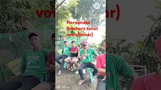 Hernandez Brothers tenor voice Jomar bulud nga ayatilocano music singingcoversong [upl. by Helban820]