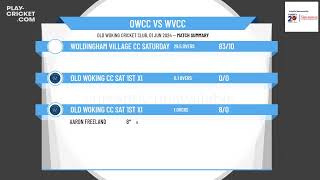 Old Woking CC Sat 1st XI v Woldingham Village CC Saturday XI [upl. by Aihsitan]