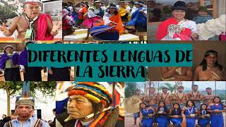 LENGUA TEMA Ubicación geográfica y rasgos culturales de los pueblos y nacionalidades indígenas [upl. by Anned]