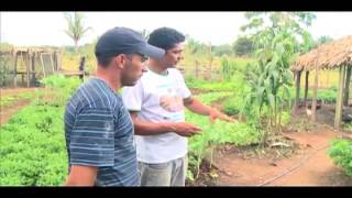 PAIS  Produção Agroecológica Integrada e Sustentável [upl. by Enelcaj]