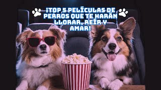 ¡TOP 5 Películas de Perros que te Harán Llorar Reír y Amar 🐶🎬💔 [upl. by Reichert467]