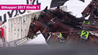 Elitloppet 2017 försöken [upl. by Yorle]