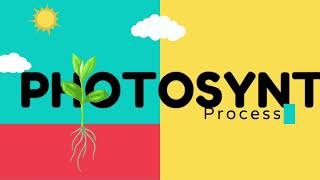 Photosynthesis Process For Kids  Kids Learning Videos  Kids Videos Littletopia TV [upl. by Daeriam]