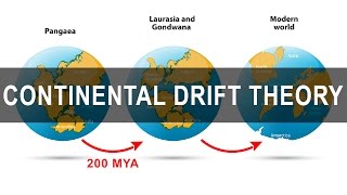 Continental Drift Theory  Alfred Wegener  Pangea  Gondwanaland [upl. by Geno439]