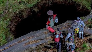 A GROUP OF WOMEN EXPLORE A CAVE FULL OF TERRIFYING CREATURES [upl. by Yenoh]