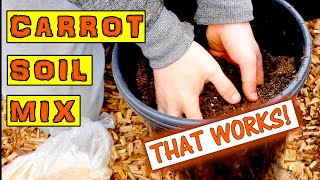 How to Grow Carrots in Pots UK  The Best Compost Mix [upl. by Azne]