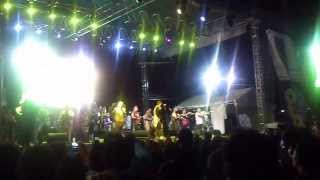 banda cuisillos en vivo dedes iztapalapa 15 septiembre 2013 [upl. by Akeihsat120]