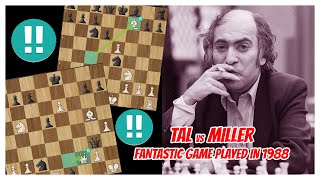 TAL vs MILLER  1988  A fantastic Game with mutual risk and the threat of checkmate [upl. by Benn201]