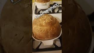 Oatmeal Bread [upl. by Nylessoj]