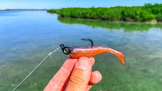 Sight Fishing Crystal Clear Flats With Swimbaits [upl. by Skippy138]