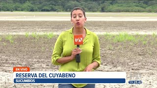 La laguna más grande de la reserva de cuyabeno está completamente seca [upl. by Ayila]