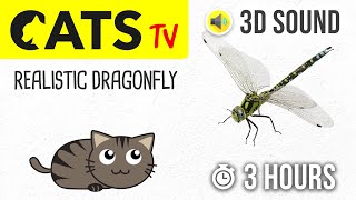 CATS TV  Realistic Dragonfly  3 HOURS Entertainment Video for Cats amp Dogs to Watch [upl. by Lakim]