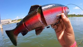 WHAT MONSTER eats a 12 INCH SWIMBAIT [upl. by Cordeelia]