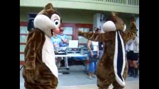 Chip amp Dale Dancing Disney College Program 06 [upl. by Iarised]