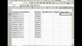 Format amp Compile Data in Excel  left right mid functions [upl. by Suoicul]