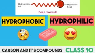 What is Hydrophobic amp HydrophilicCleaning action of Soap micellesClass 10Carbon and Compound [upl. by Jephum]