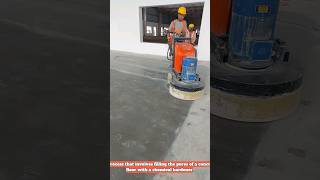 DENSIFICATION OF CONCRETE FLOOR densificationofconcrete trending video floor [upl. by Renwick]