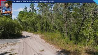 16452 Hardeman Junction Weeki Wachee FL 34614 [upl. by Enelyaj408]