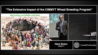 Hans Braun  The Extensive Impact of CIMMYTs Wheat Breeding Program [upl. by Linneman409]