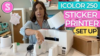 😍 iColor 250 Print and Cut Sticker Printer Setup amp CustomCUT Software [upl. by Noislla]