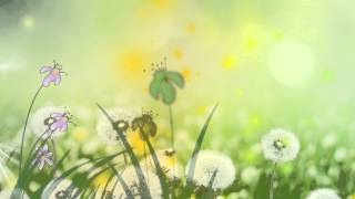 Фон для видеомонтажа Dandelions HD Video Background [upl. by Amalia906]