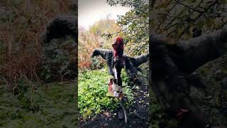 scarecrow comes to life or dont touch my apples spooky scary [upl. by Donald]