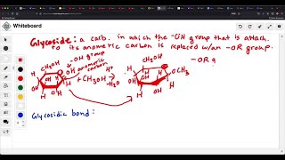 Define the terms glycoside and glycosidic bond [upl. by Alcot]