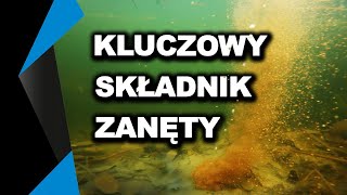 NAJWAŻNIEJSZY składnik każdej zanęty [upl. by Darbie]