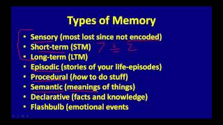 Types of Memory [upl. by Ahsenek]