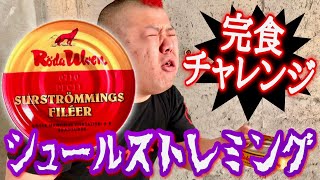 【世界一臭い食べ物】超激臭シュールストレミング完食チャレンジ！！！【surströmming fasting challenge】 [upl. by Aihsitan]