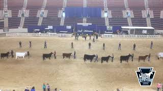 Youth Supreme Champion Beef Pageant [upl. by Tongue821]