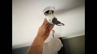 LED Downlight installation and replacement [upl. by Euhc]