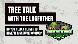 Do You Need a Permit to Remove a Saguaro Cactus  Tree Talk with The Logfather [upl. by Aliban]