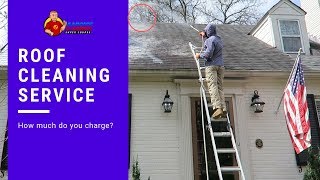 THE ROOF CLEANING PROCESS  Algae Removal [upl. by Katey]