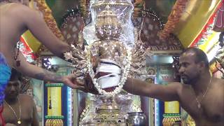 Maha Abishekam  Skanda Sashti Viratham Day 6 [upl. by Shiller]